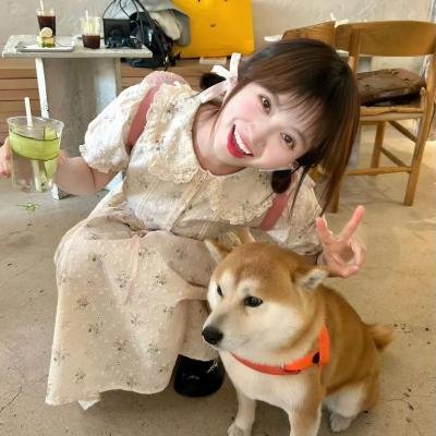 莫莉快跑
